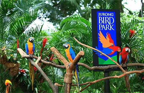 Bali Bird Park Reviews