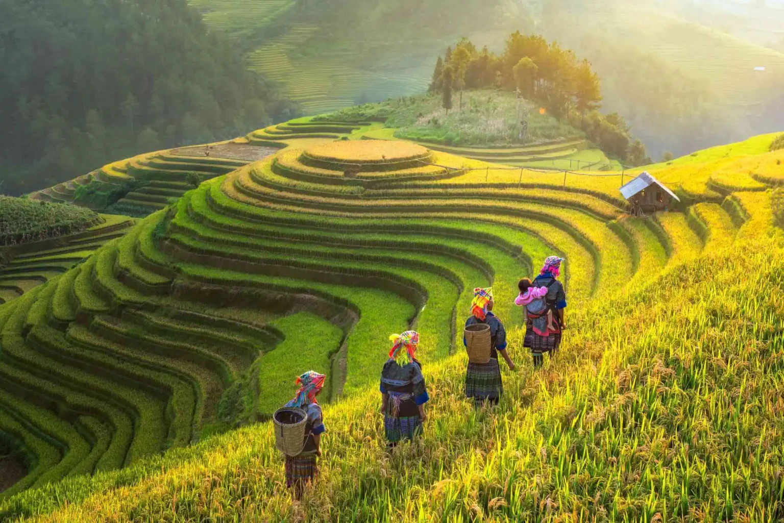 Airport to Sapa Guide – Travelog