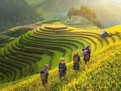 Sapa Tour Guide