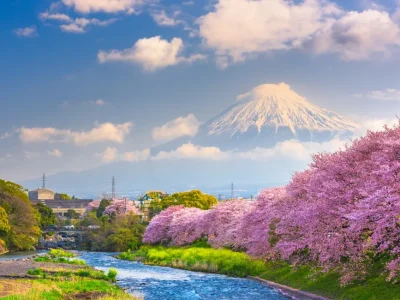 Mt. Fuji Japan spring landscape